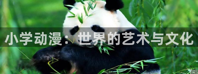 拷贝漫画网页版下载