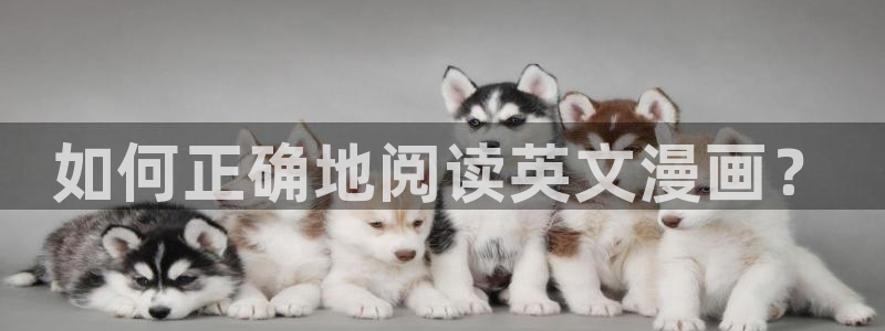 可以导入本地漫画的漫画软件：如何正确地阅读英文漫画？