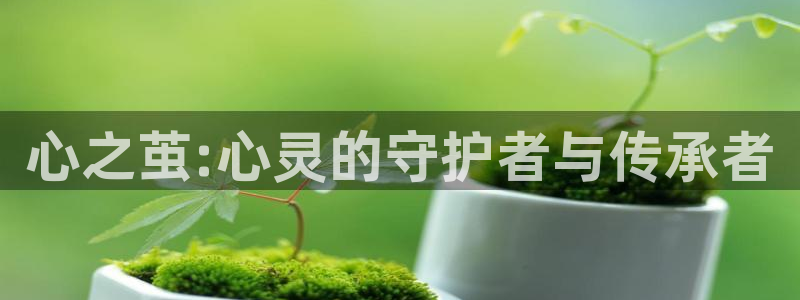 copy漫画下载：心之茧:心灵的守护者与传承者